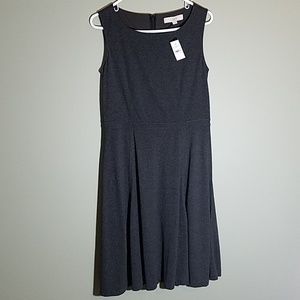 Ann Taylor Loft Dress